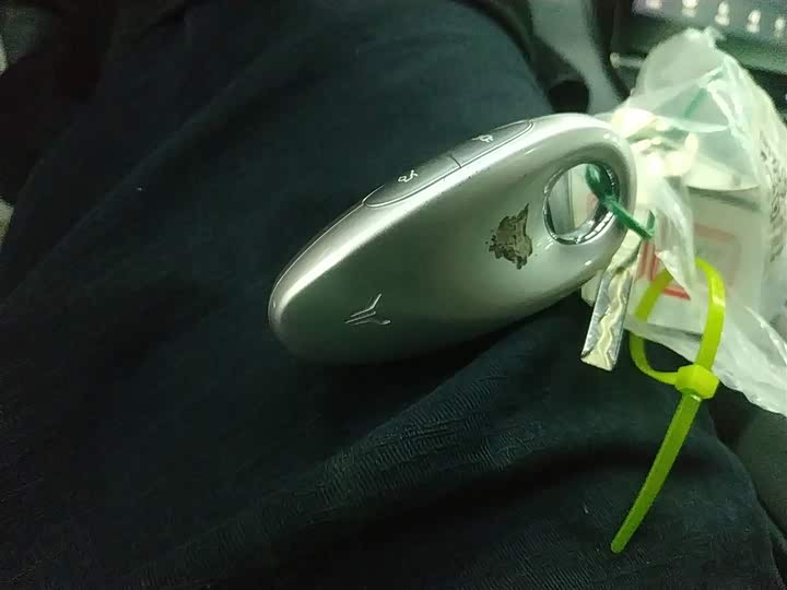 Фото 9 - Voyah Passion