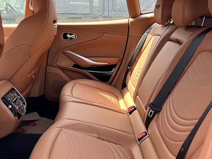 Фото 9 - Aston Martin DBX