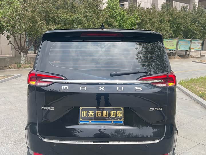 Фото 5 - Maxus G50