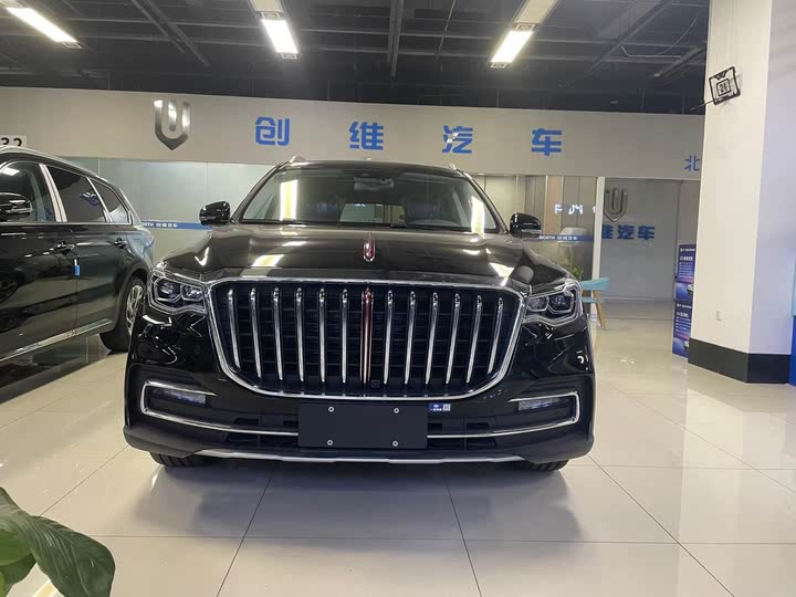 Фото 1 - Hongqi HS7