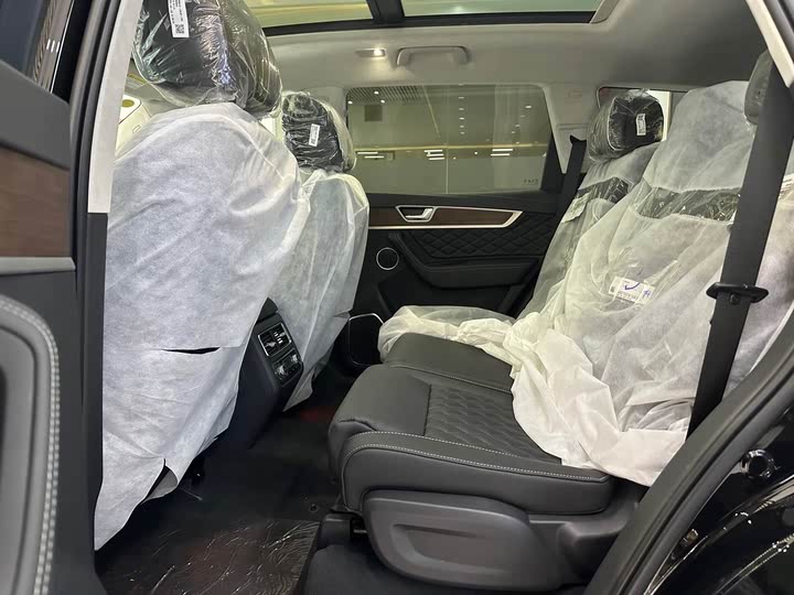 Фото 7 - Hongqi HS7