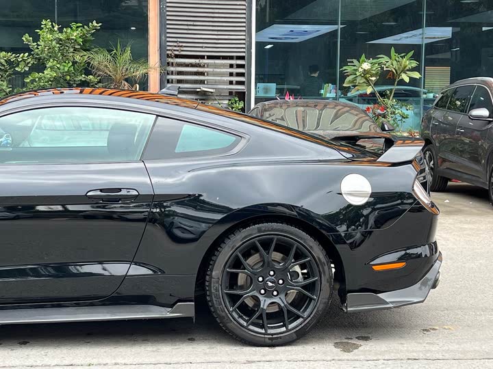 Фото 11 - Ford Mustang