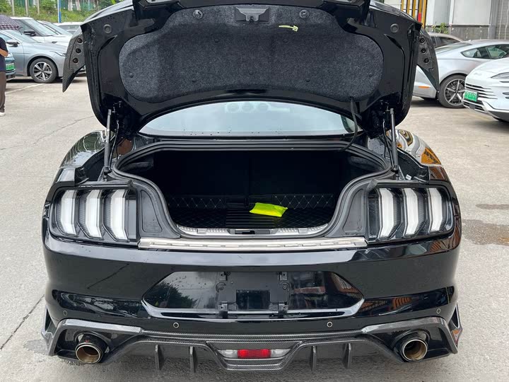 Фото 18 - Ford Mustang