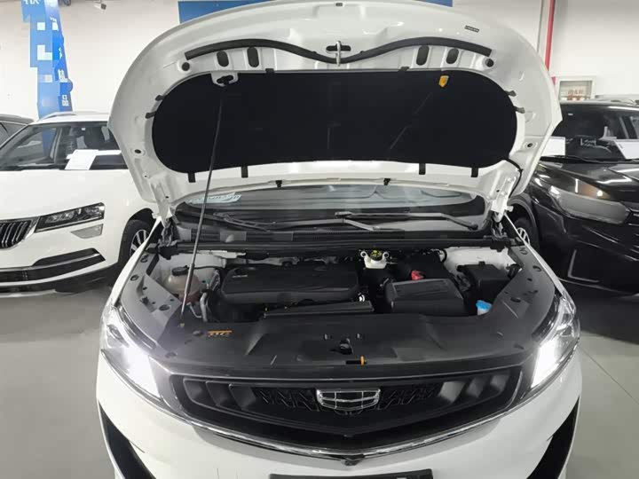 Фото 20 - Geely Jiaji