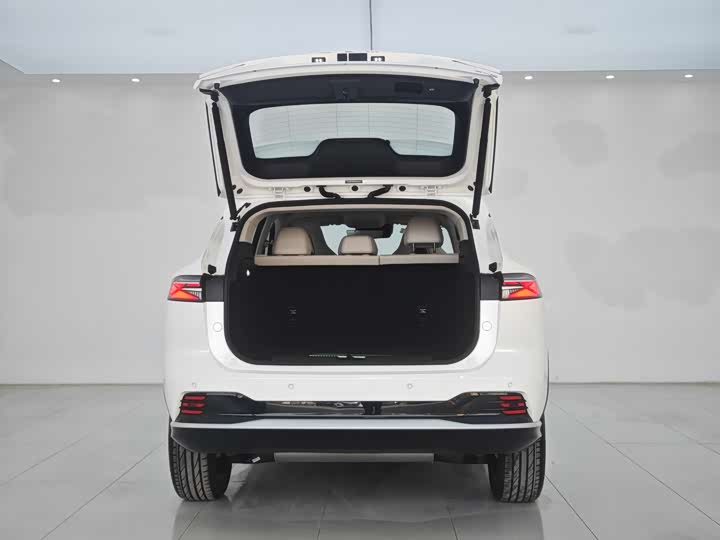 Фото 20 - Roewe D5X DMH