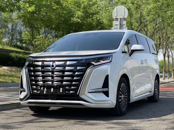 Фото 1 - Denza D9