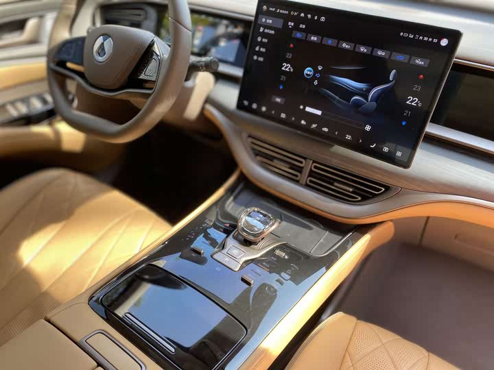 Фото 12 - Denza D9