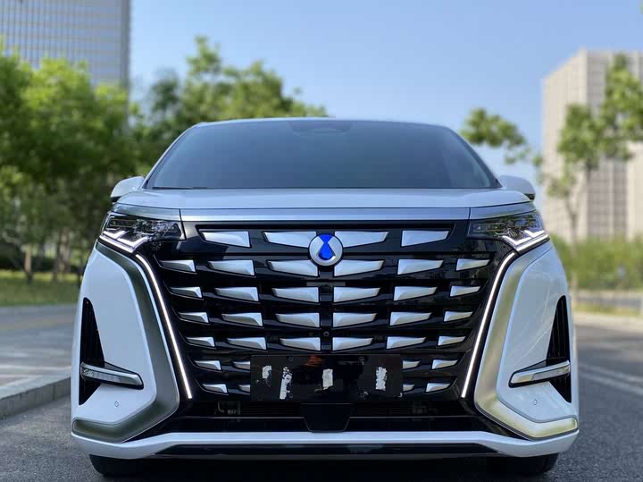 Фото 2 - Denza D9