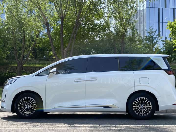 Фото 5 - Denza D9