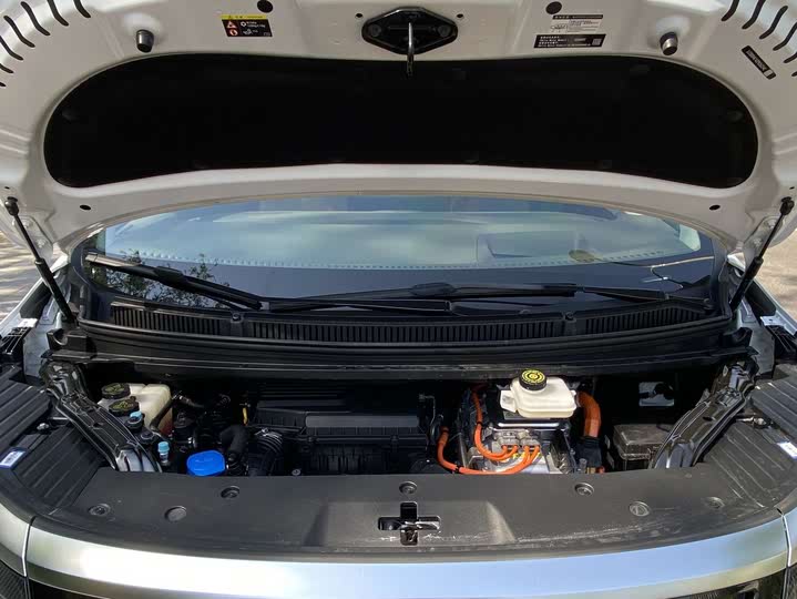 Фото 6 - Denza D9