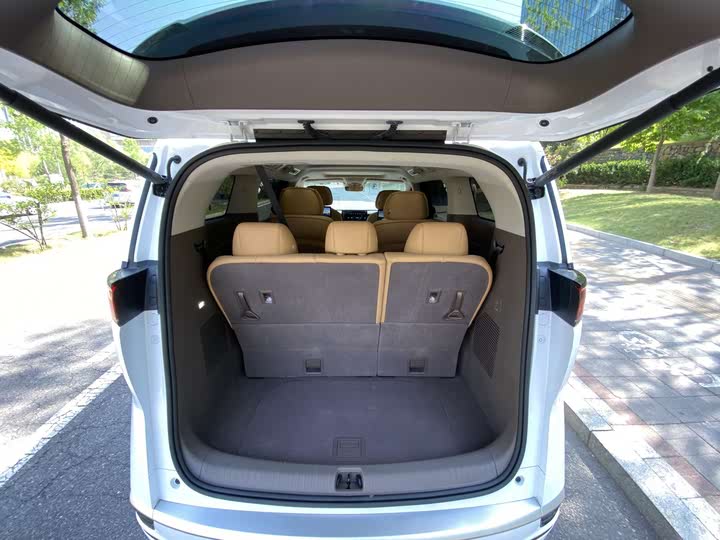 Фото 7 - Denza D9