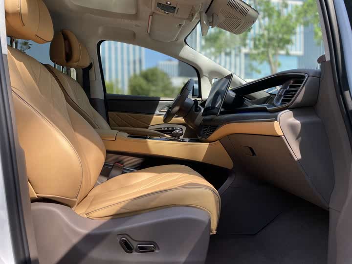 Фото 9 - Denza D9