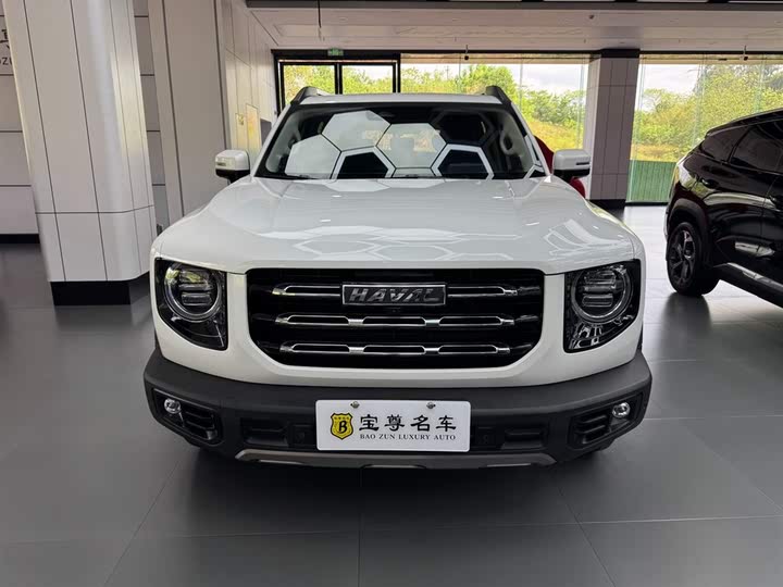 Фото 2 - Haval Dargo