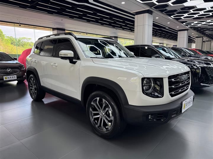 Фото 3 - Haval Dargo