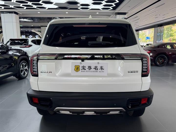 Фото 4 - Haval Dargo