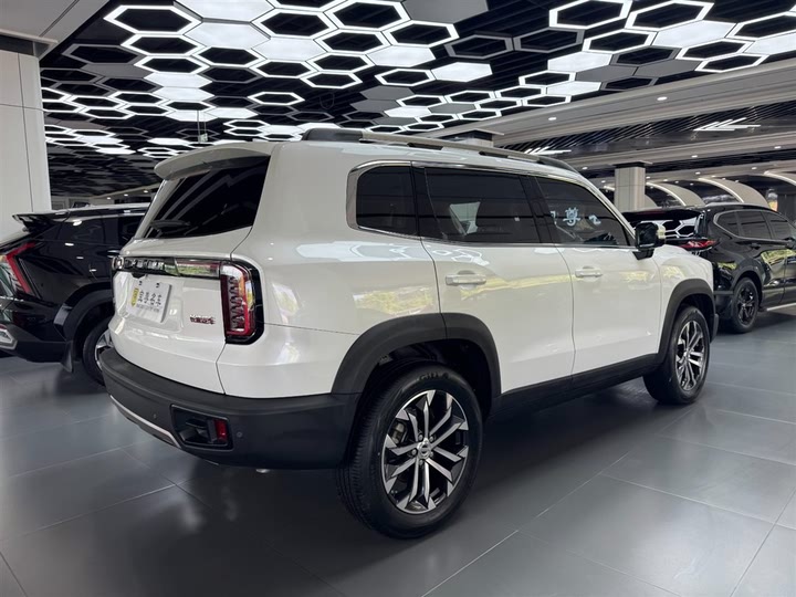 Фото 6 - Haval Dargo