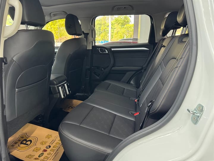 Фото 8 - Haval Dargo