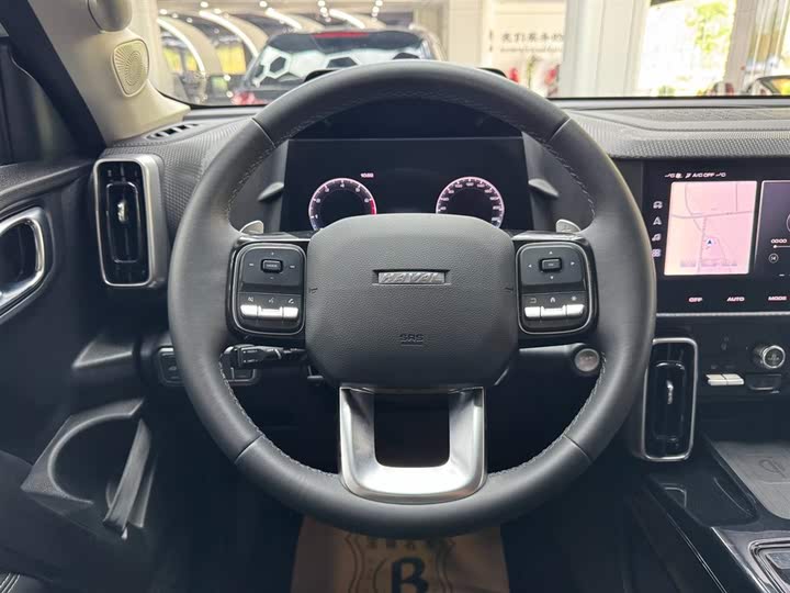 Фото 9 - Haval Dargo