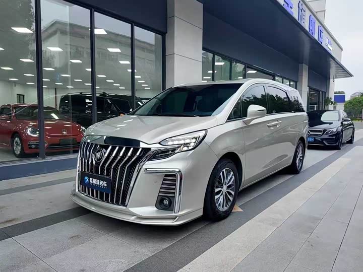 Фото 1 - Buick GL8 ES