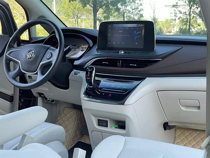 Фото 8 - Buick GL8 ES