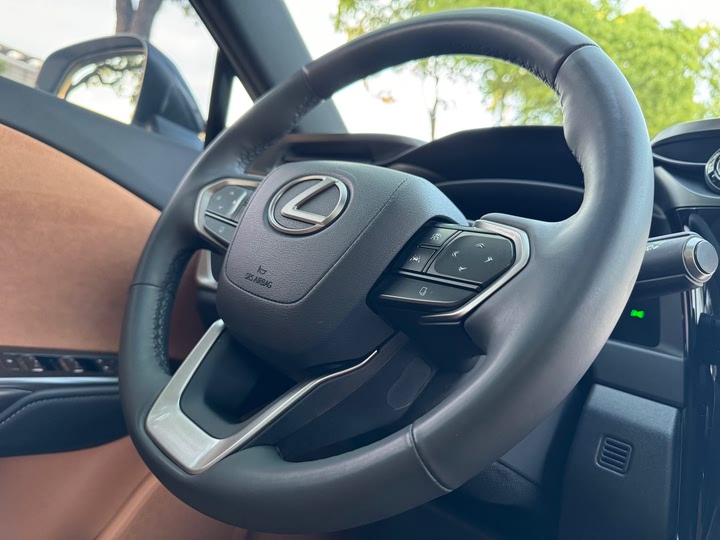 Фото 10 - Lexus RZ