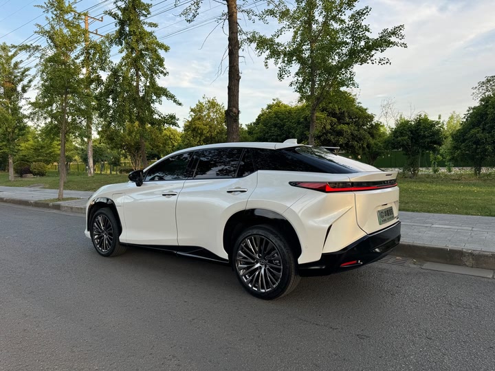 Фото 4 - Lexus RZ