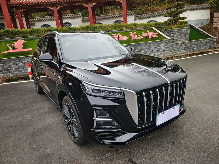 Фото 3 - Hongqi HS5