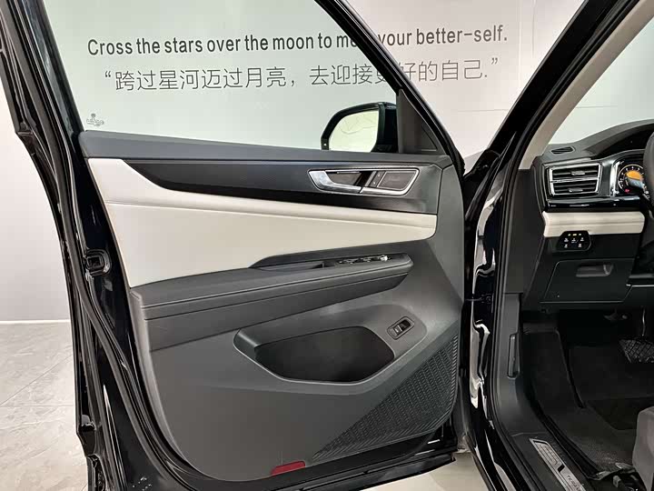 Фото 10 - Volkswagen Teramont Pro