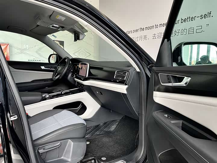 Фото 6 - Volkswagen Teramont Pro