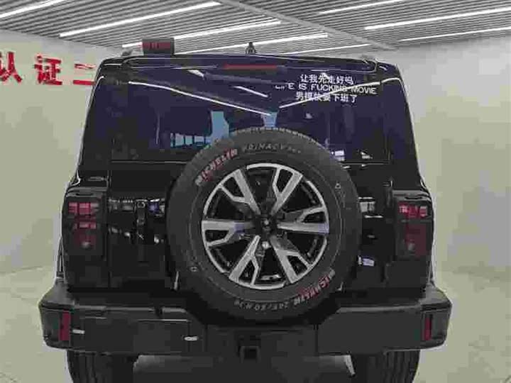 Фото 5 - Tank 300