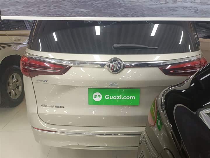 Фото 12 - Buick GL8 ES