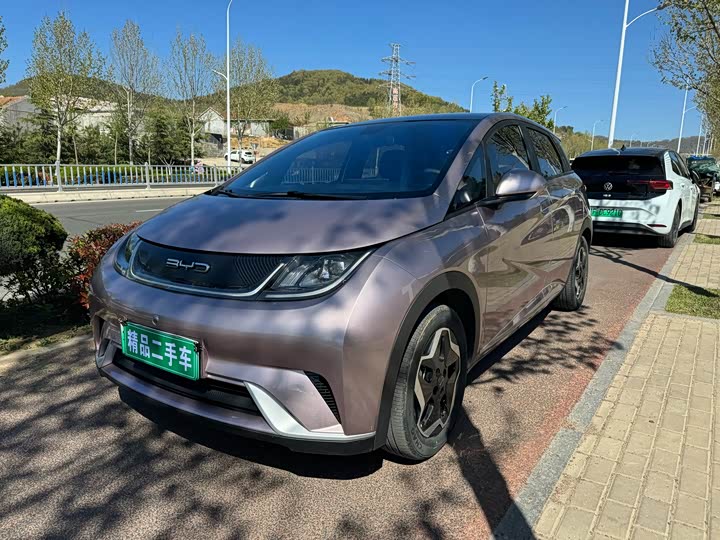 Фото 1 - BYD Dolphin