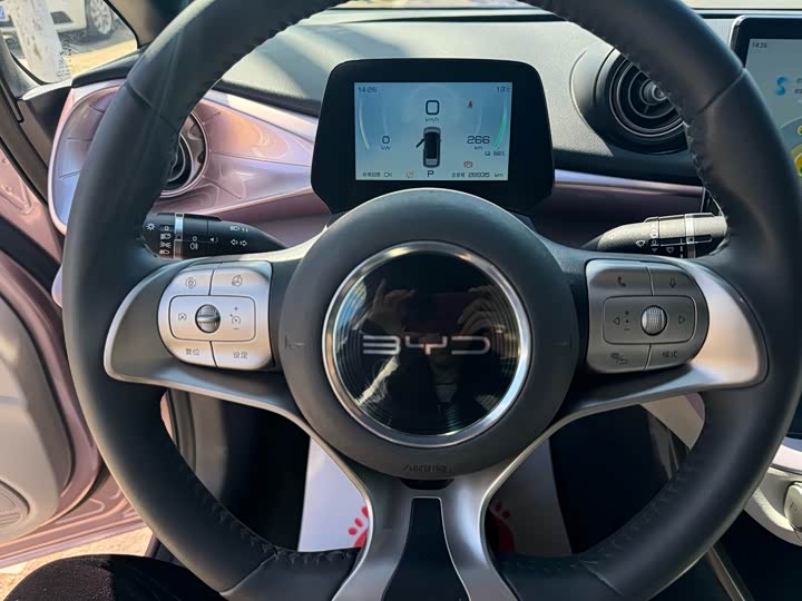 Фото 11 - BYD Dolphin