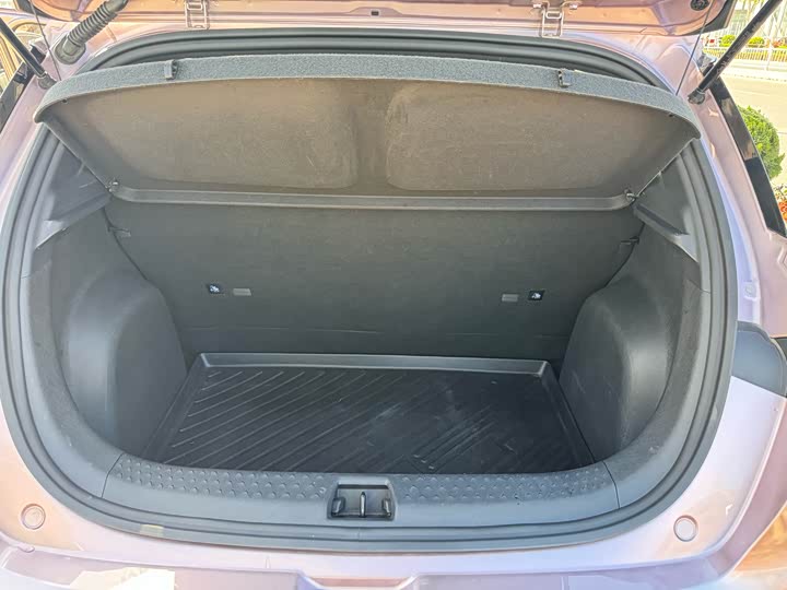 Фото 12 - BYD Dolphin