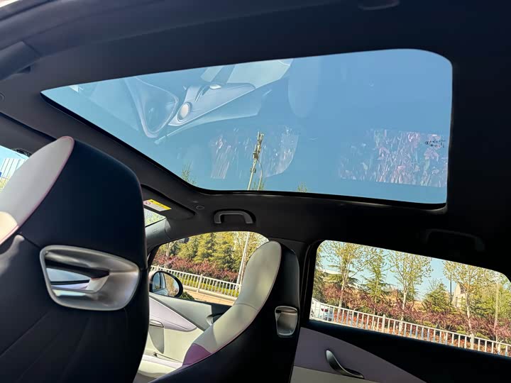 Фото 13 - BYD Dolphin