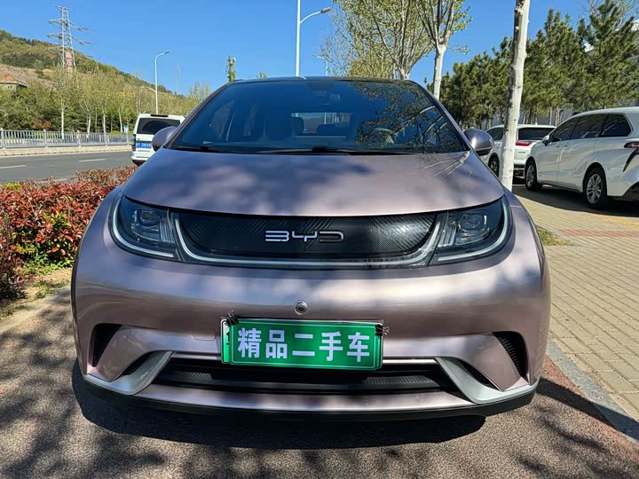 Фото 2 - BYD Dolphin