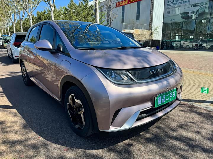 Фото 3 - BYD Dolphin