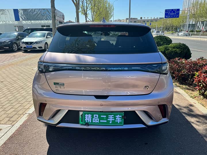 Фото 5 - BYD Dolphin