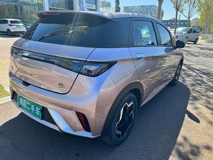 Фото 6 - BYD Dolphin