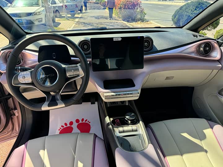 Фото 9 - BYD Dolphin