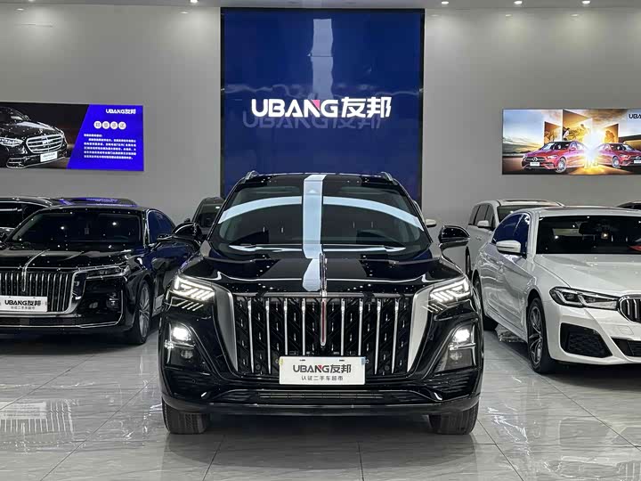 Фото 2 - Hongqi HS5
