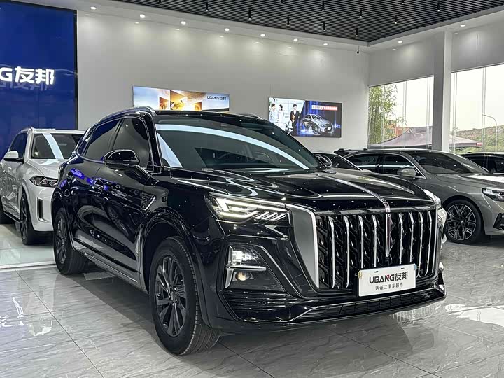 Фото 3 - Hongqi HS5