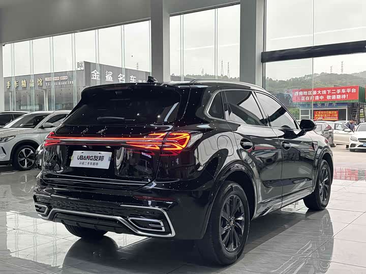 Фото 4 - Hongqi HS5