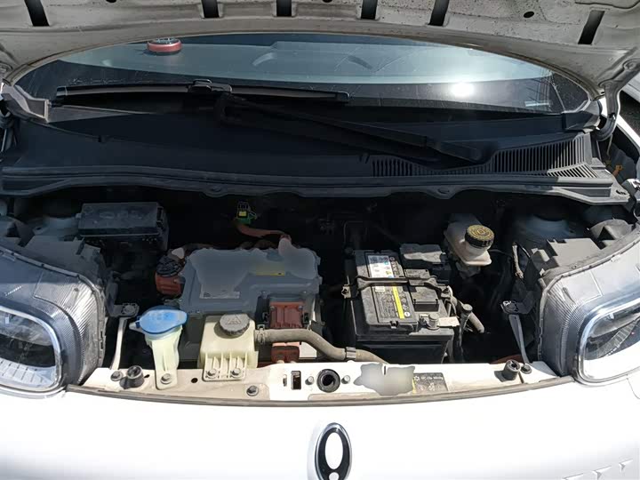 Фото 20 - Ora White Cat