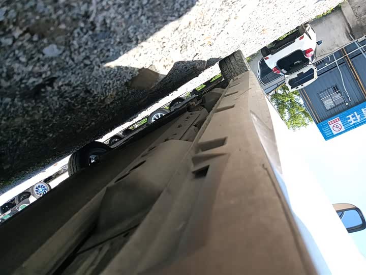 Фото 22 - Ora White Cat