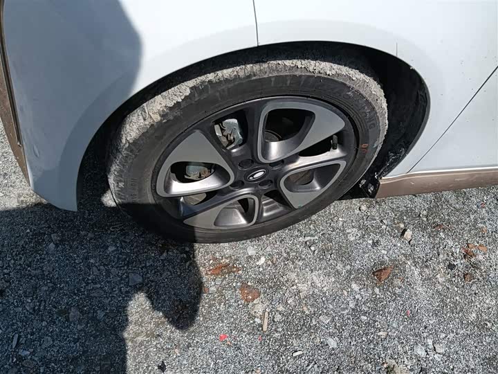 Фото 23 - Ora White Cat