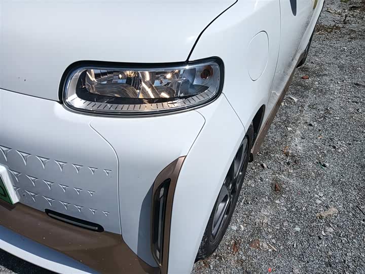 Фото 24 - Ora White Cat