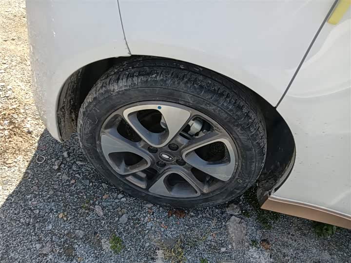 Фото 30 - Ora White Cat