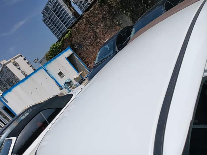 Фото 31 - Ora White Cat