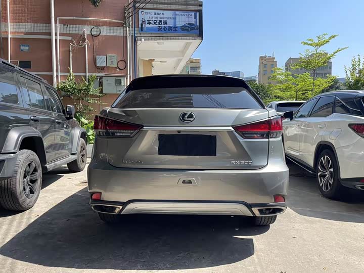 Фото 12 - Lexus RX